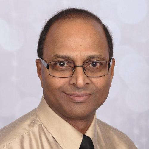 Prasad V. Rao (Founder of PrideVel Group)