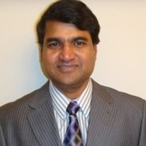 Victor Naidu (President at Ramsoft Systems Inc)